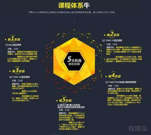 西安安卓培训班价格与软件开发培训哪家强？深度解析西安九州计算机与淘学培训的计算机软件开发价值